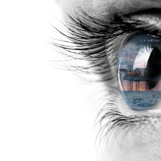 Industrial Inspection